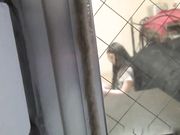 欧美隔窗拍居家火辣美女寂寞难耐拿出自己酷爱的大黑屌吸舔自慰饥渴