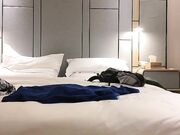 高级外围小姐姐_舌吻调情口交上位骑坐抽插后入快速猛操呻吟娇喘