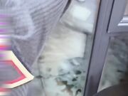 白虎妹妹与亲哥雪地乱伦被人看光