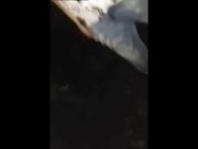 骚妇主播勾引刚放假的外甥户外吃鸡巴舔逼喝尿真是毫无节操
