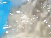 水下口交啪啪 极品身材 圆挺爆乳