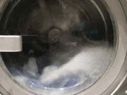 在一群陌生人面前做爱洗衣房里